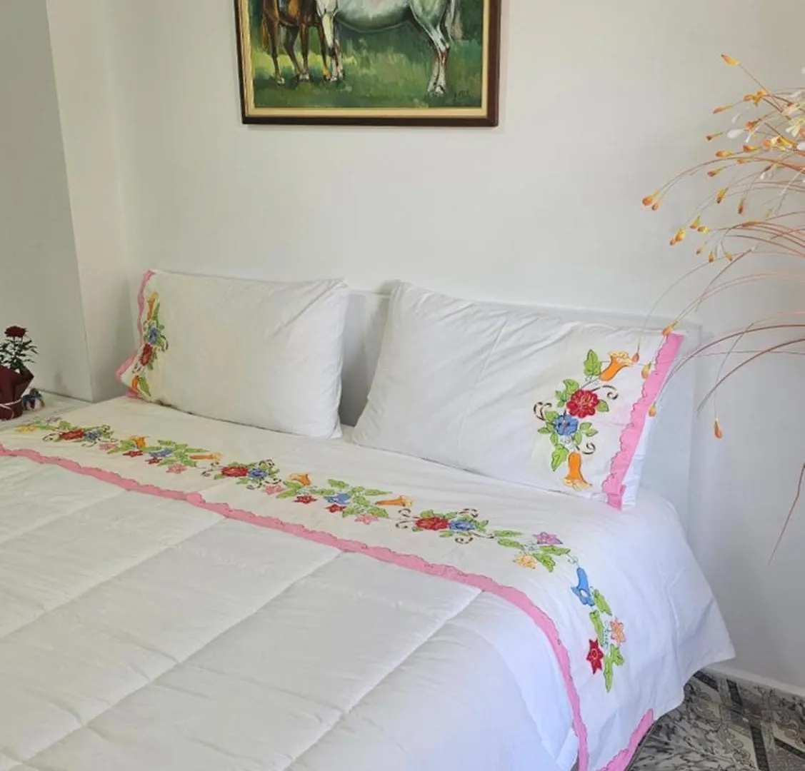 Alsed Apartment Berat